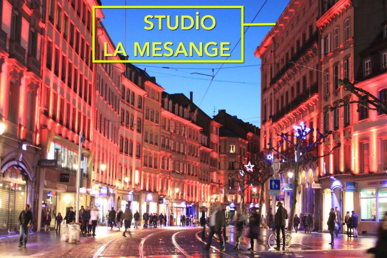 Studio La Mesange ستراسبورغ المظهر الخارجي الصورة